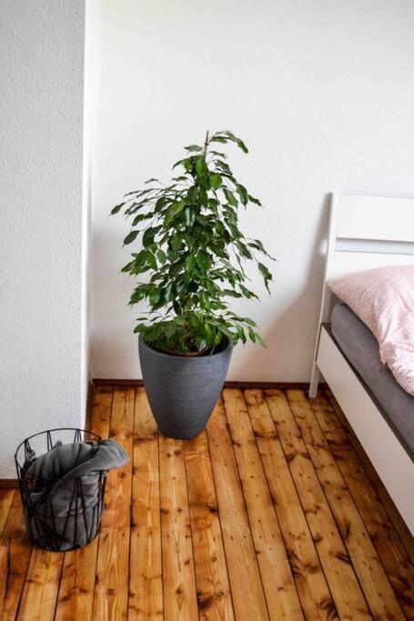 Schoene Dachgeschosswohnung Nahe Koeln ภายนอก รูปภาพ